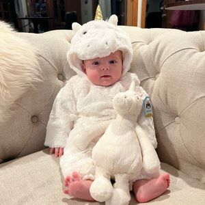 Pottery Barn Unicorn Costume